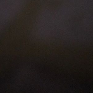 Meet your Posher, Solomon